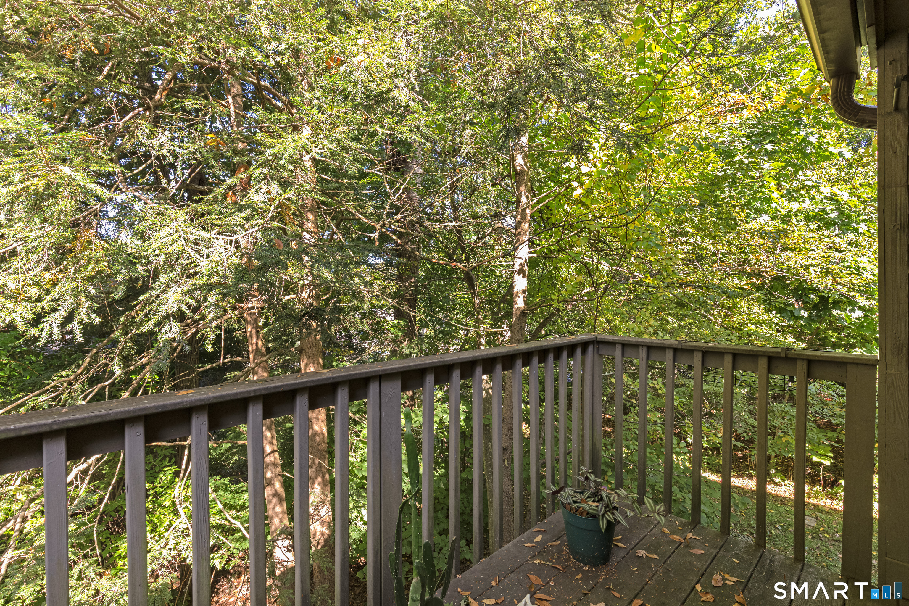 5 Alder Court Woodbury CT 06798