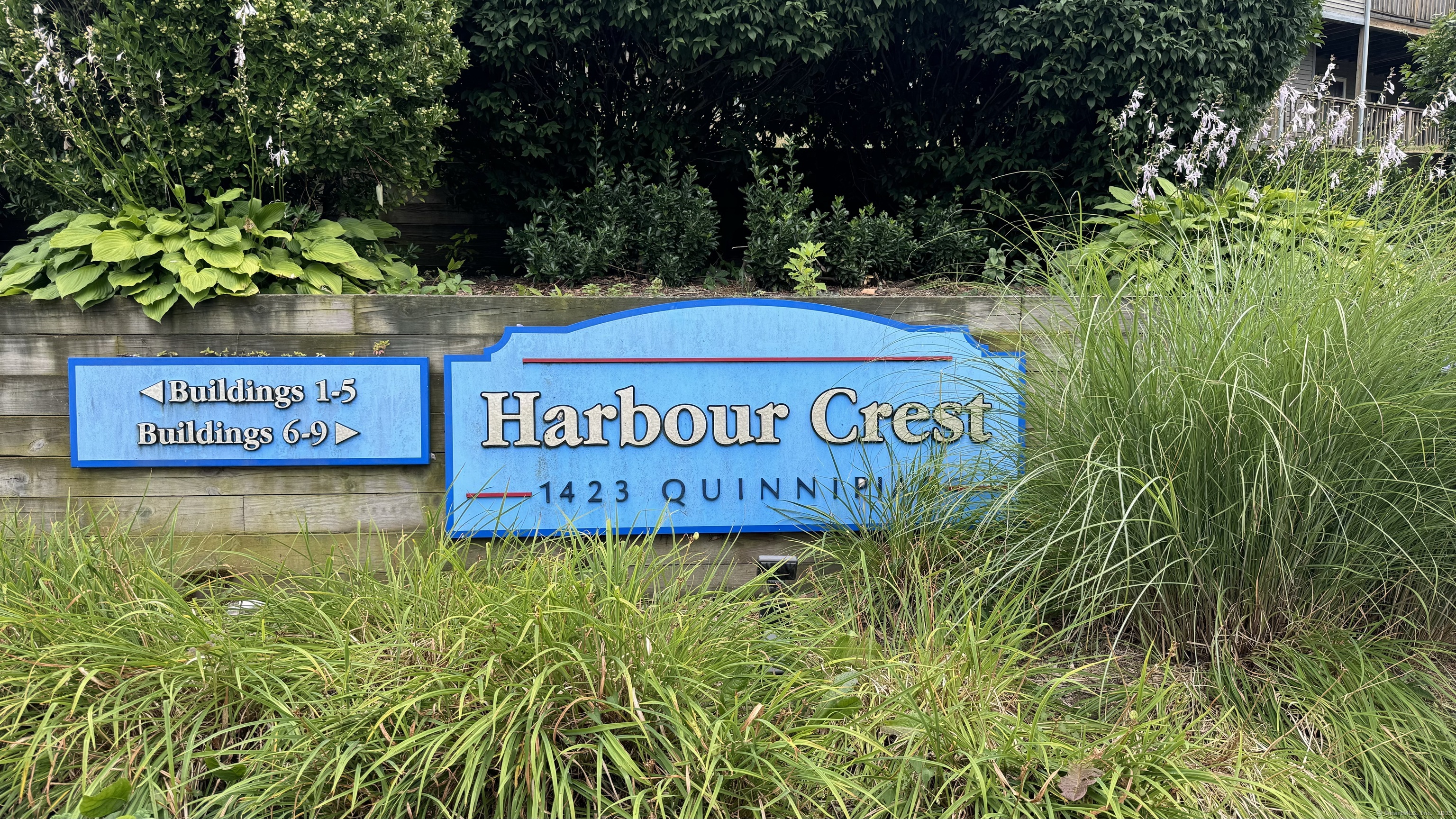 1423 Quinnipiac Avenue New Haven CT 06513