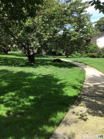 247 Hamilton Avenue Stamford CT 06902