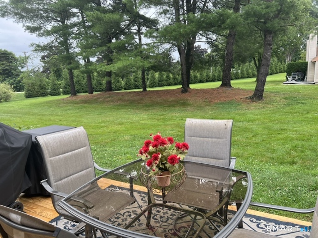 10 Butternut Lane Rocky Hill CT 06067