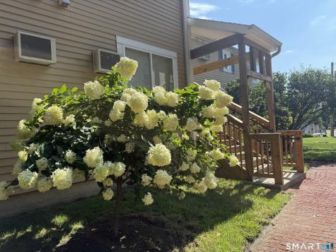 135 Flax Hill Road Norwalk CT 06854