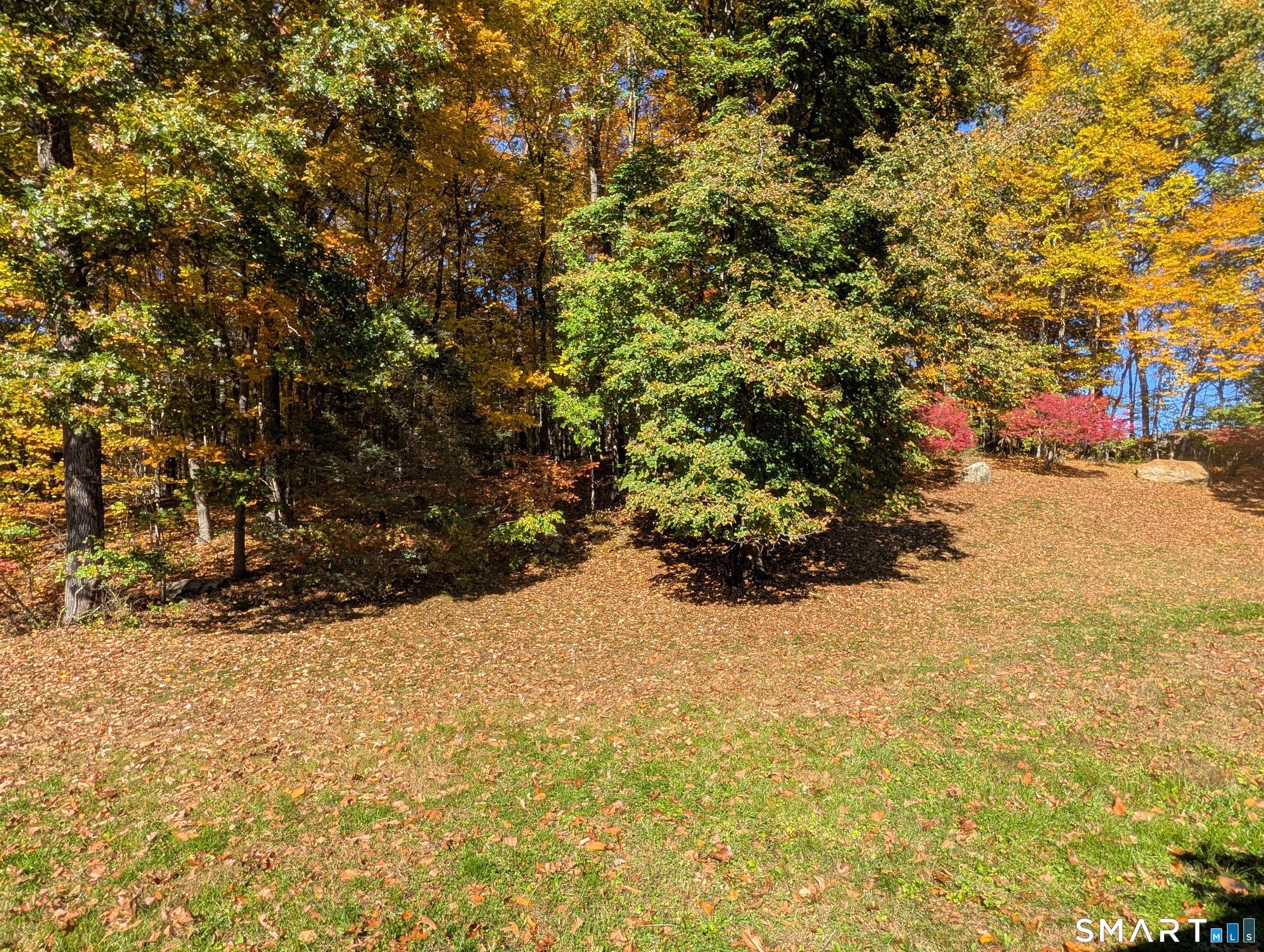 14 Sycamore Drive Mansfield CT 06268