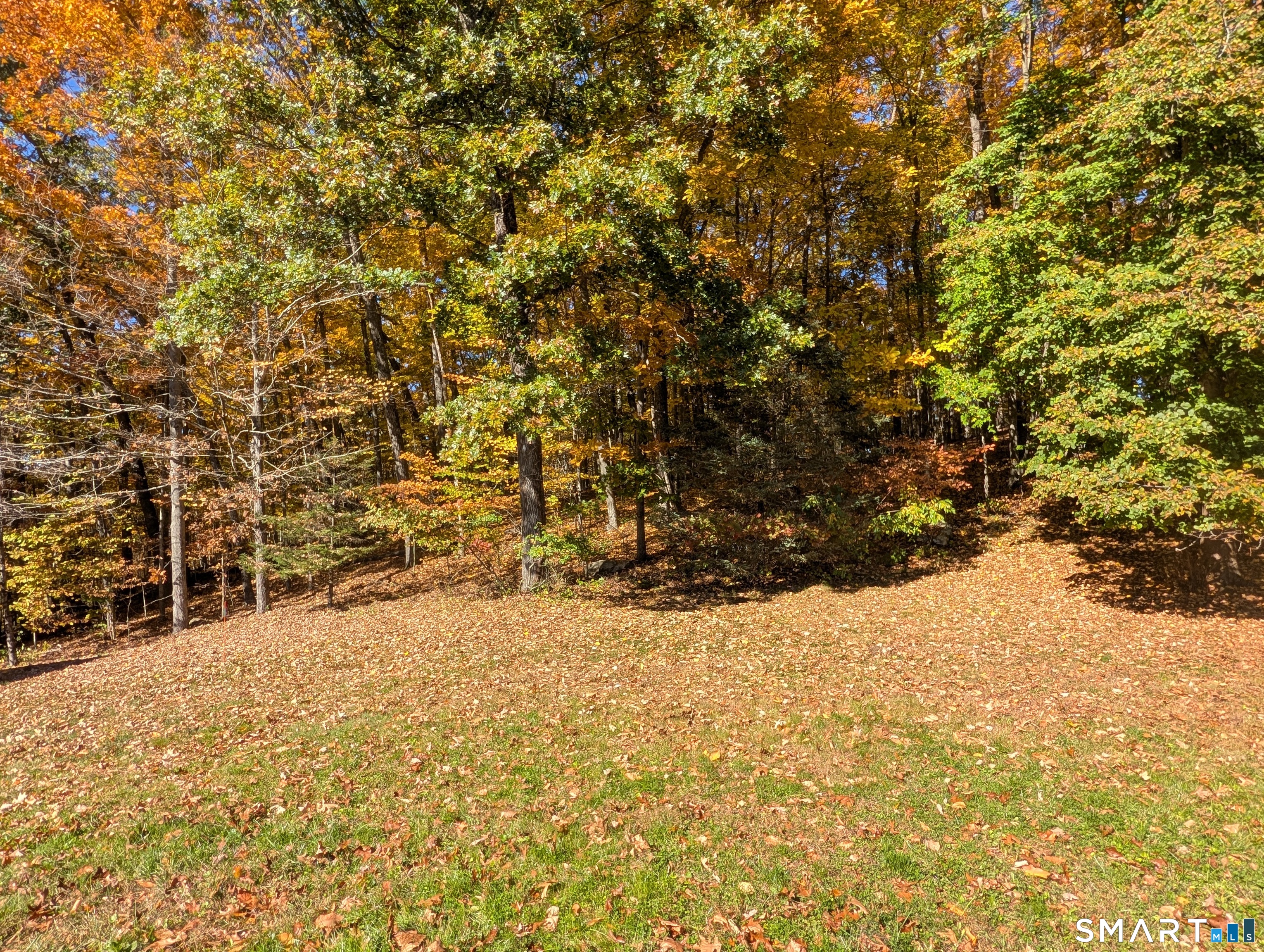 14 Sycamore Drive Mansfield CT 06268
