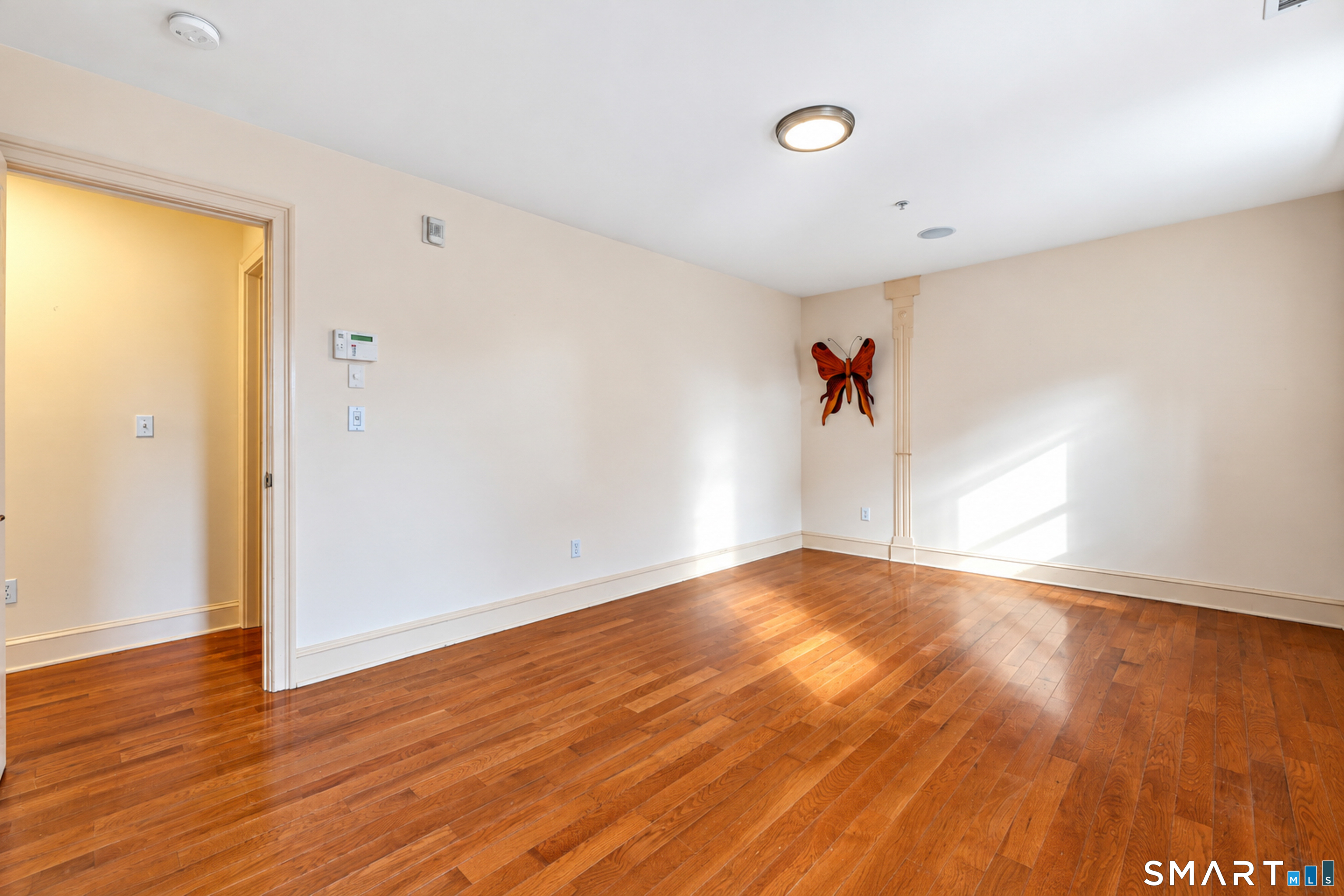 329 Greene Street New Haven CT 06511