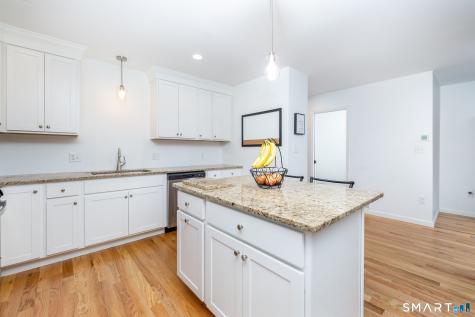 51 Gillette Way Bristol CT 06010