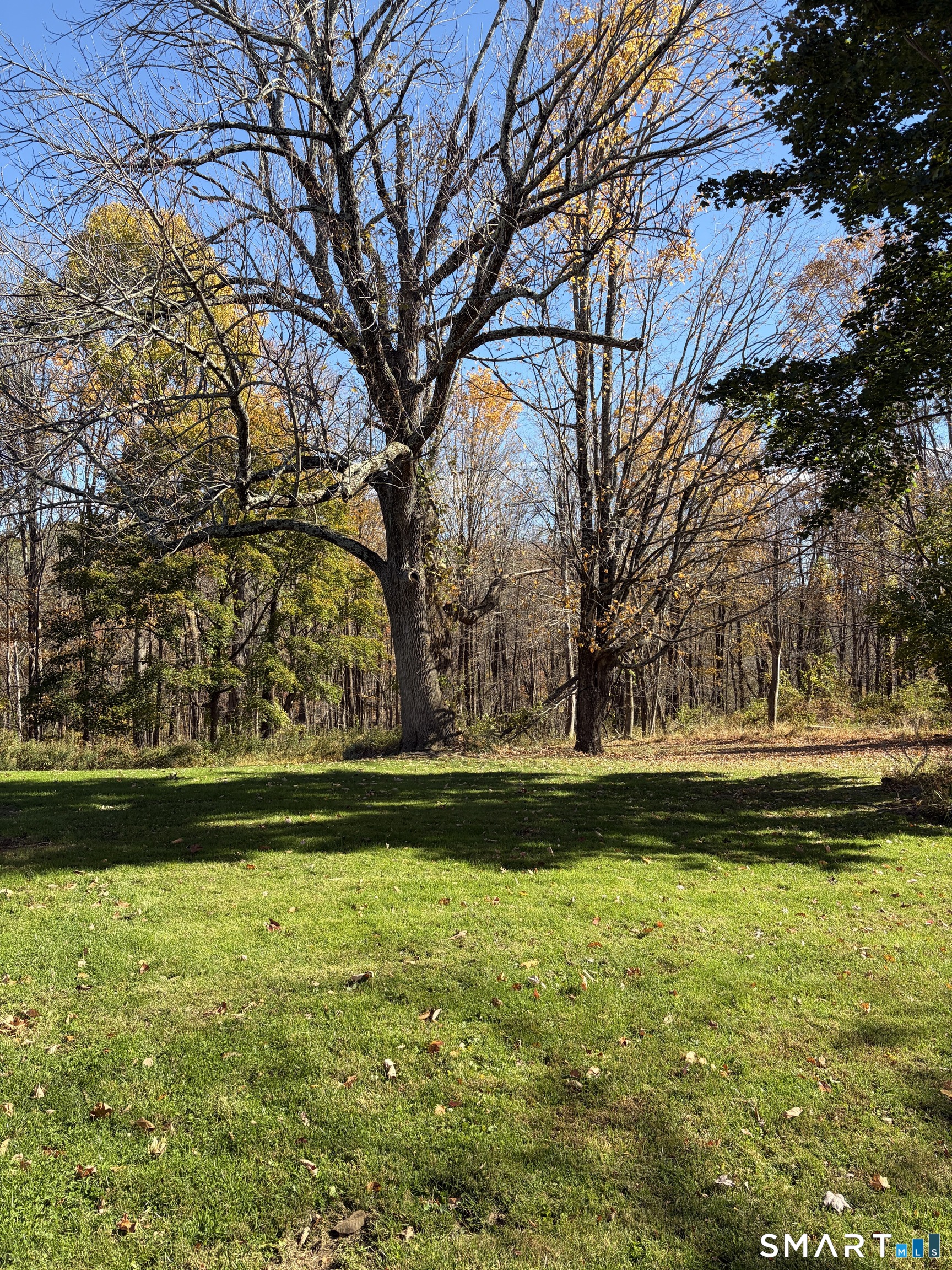 80 Wellswood Road Hebron CT 06231