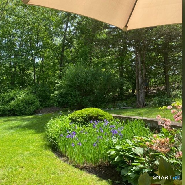 85 Wilton Crest Wilton CT 06897