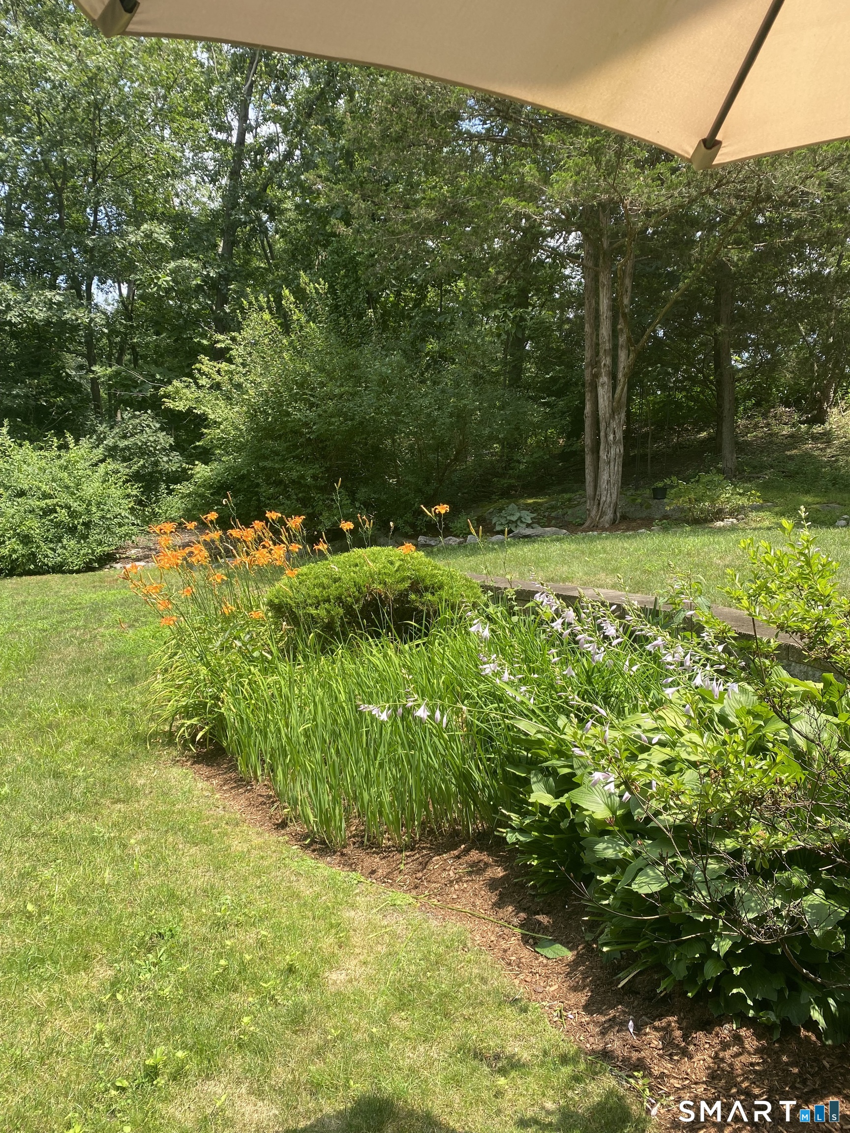 85 Wilton Crest Wilton CT 06897