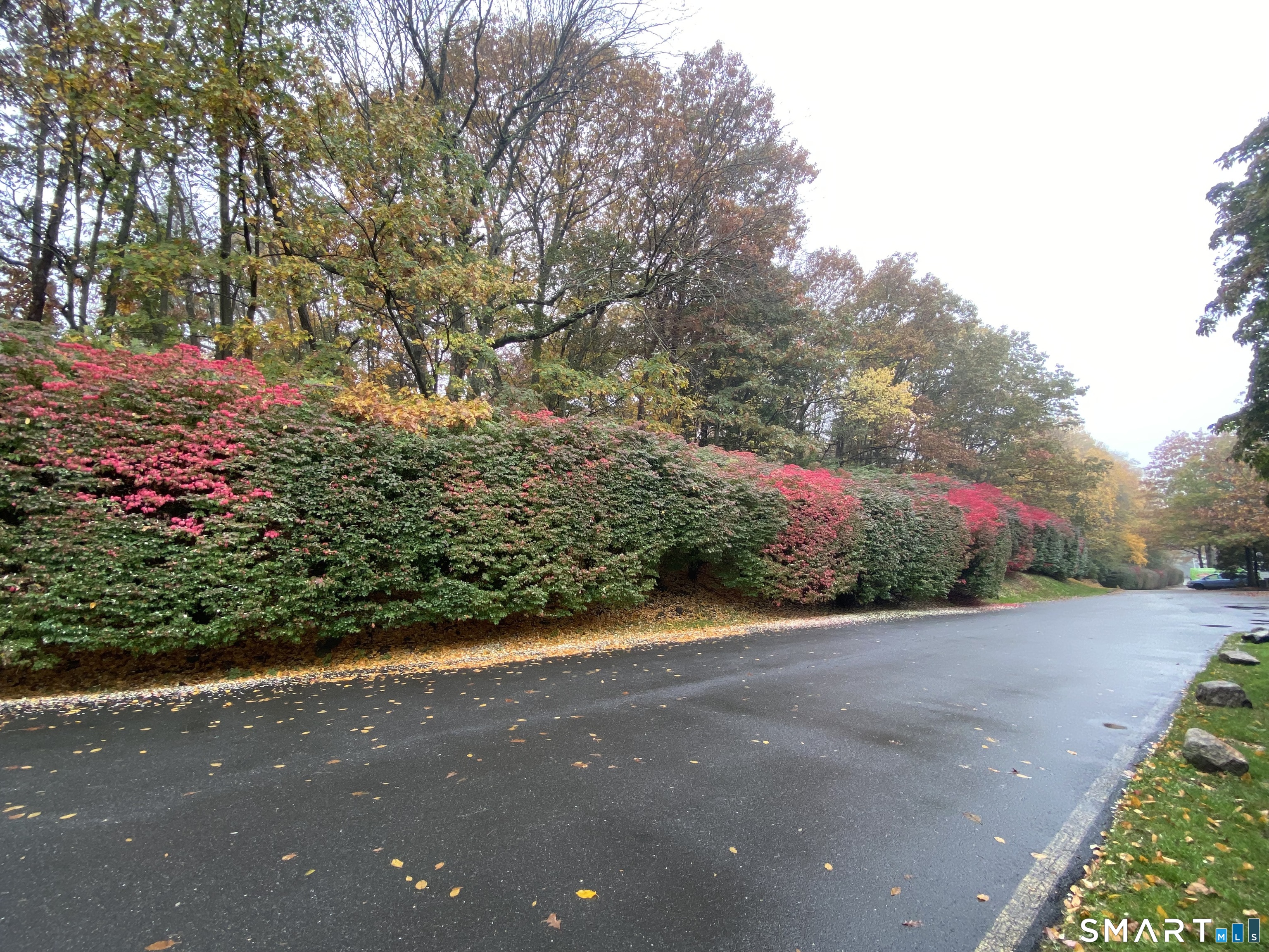 85 Wilton Crest Wilton CT 06897