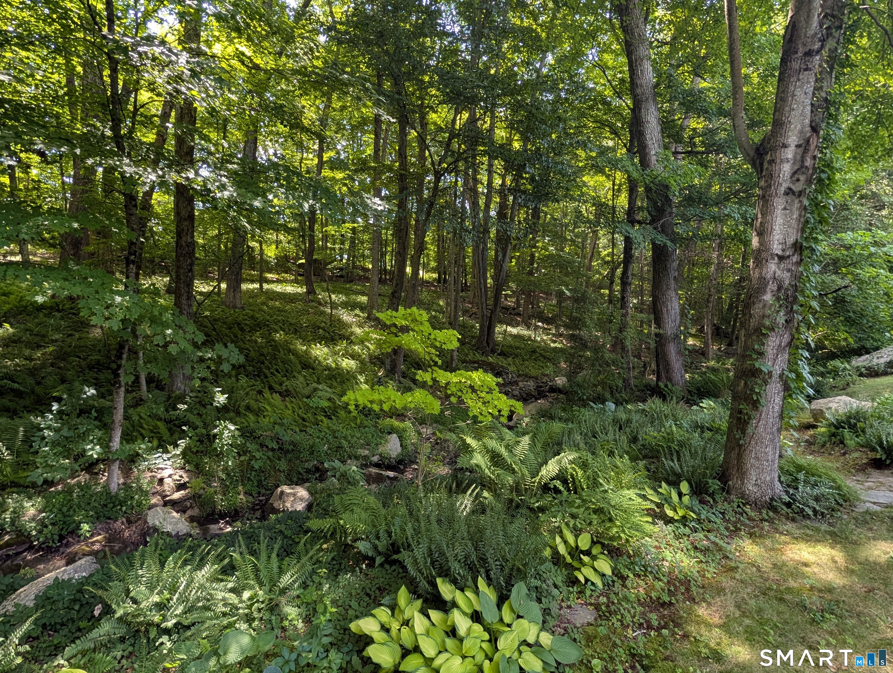 8 Sycamore Drive Mansfield CT 06268