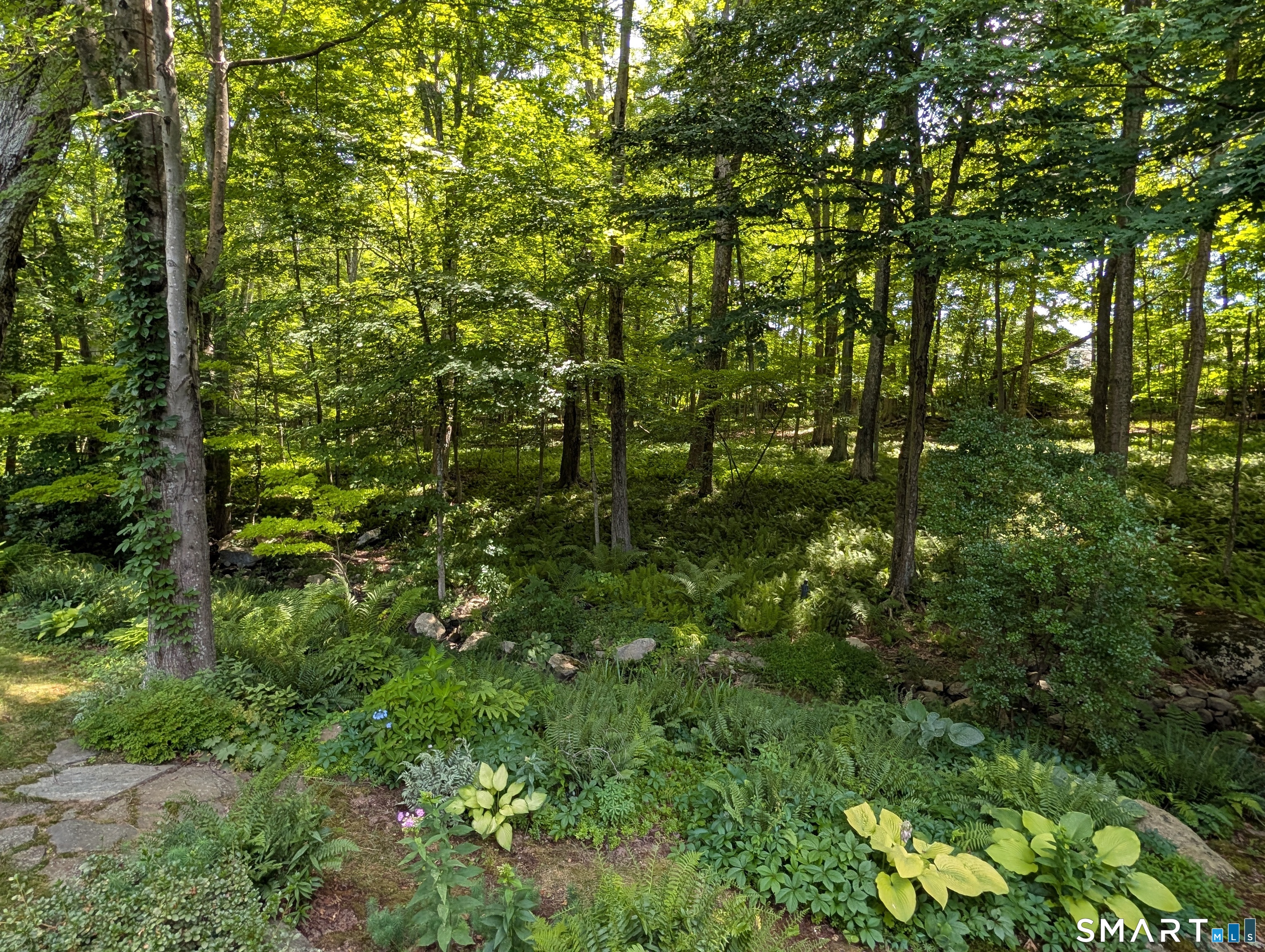 8 Sycamore Drive Mansfield CT 06268