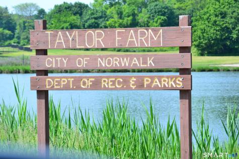 199 Gregory Boulevard Norwalk CT 06855