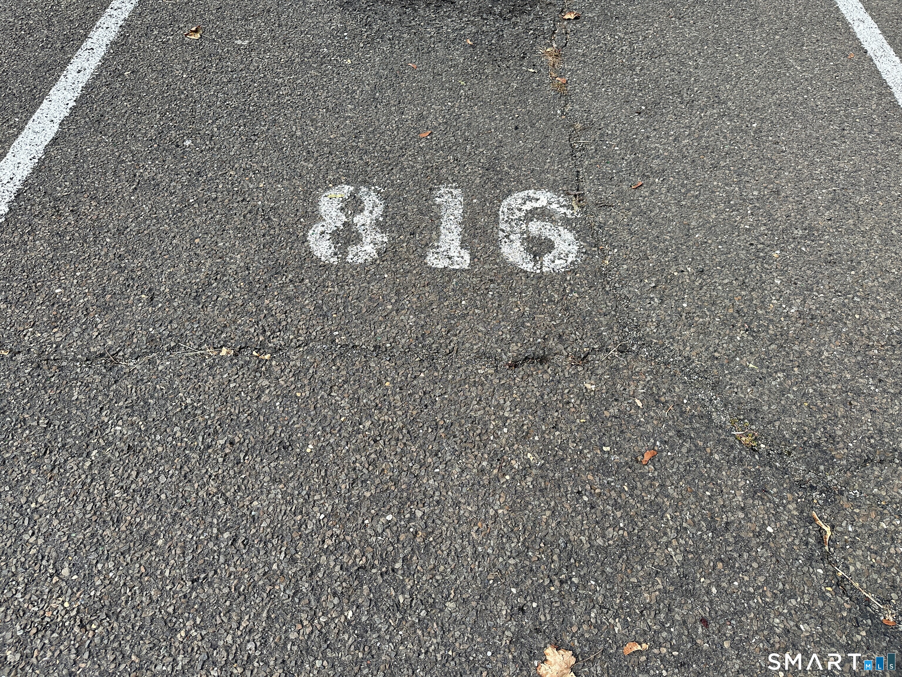 164 Virginia Avenue Bridgeport CT 06610