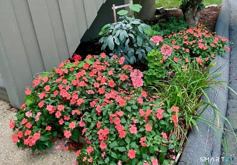 11 Ledgebrook Drive Norwalk CT 06854