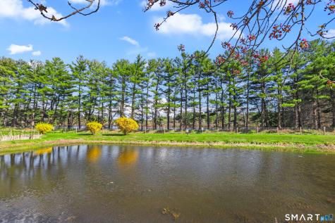365 Mather Street Hamden CT 06518