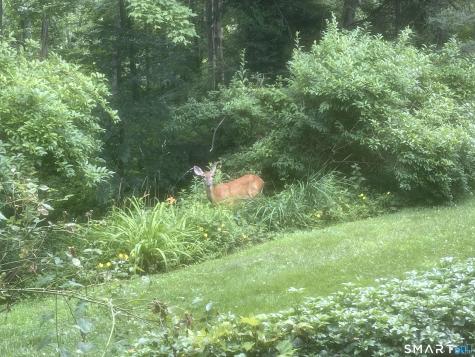 277 Heritage Village Southbury CT 06488