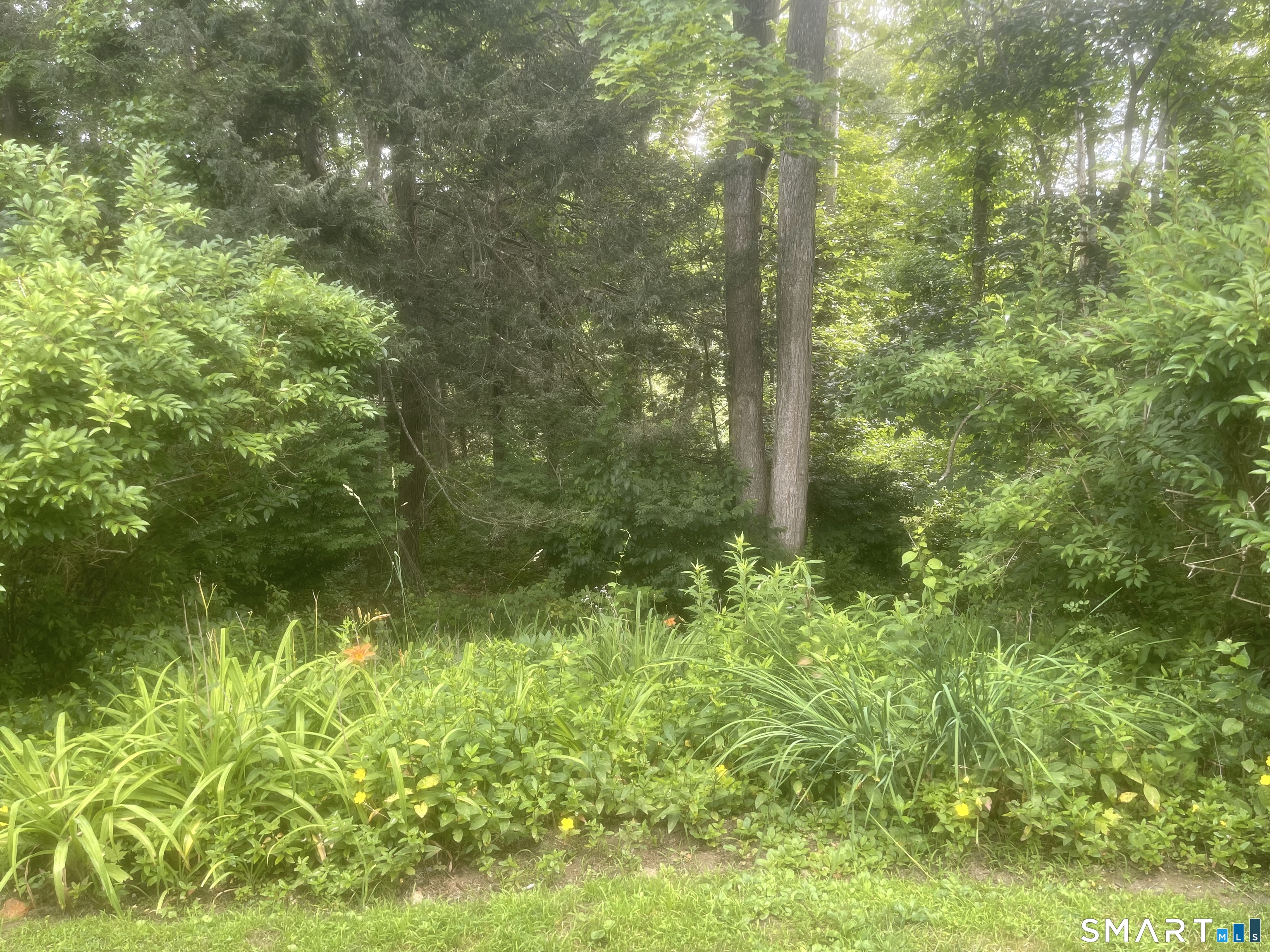 277 Heritage Village Southbury CT 06488