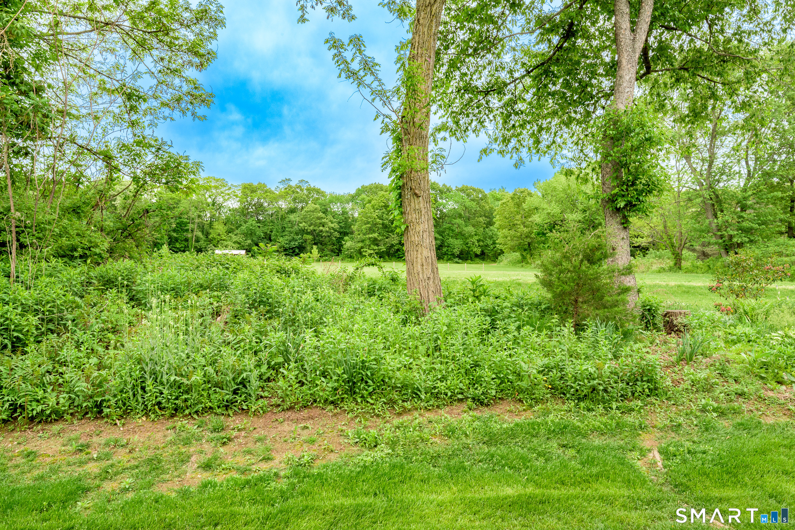 205 Wyndemere Court South Windsor CT 06074