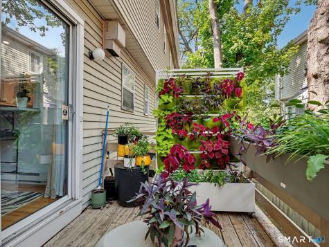 63 Maple Tree Avenue Stamford CT 06906
