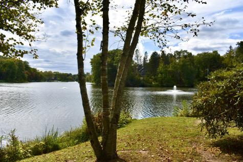 8 Tamarack Lane Woodbury CT 06798