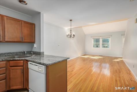 93 Ellsworth Street Bridgeport CT 06605