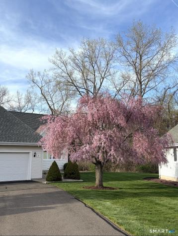 7 Alexandra Lane Rocky Hill CT 06067