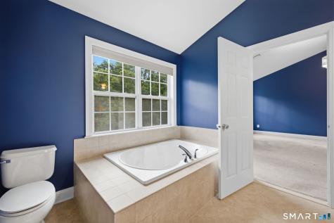 51 Hidden Brook Trail Bethel CT 06801