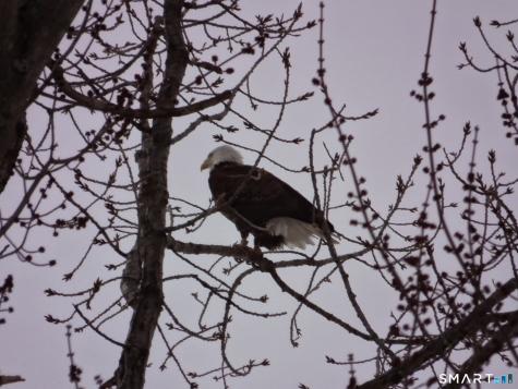 241 South Water Street East Windsor CT 06088