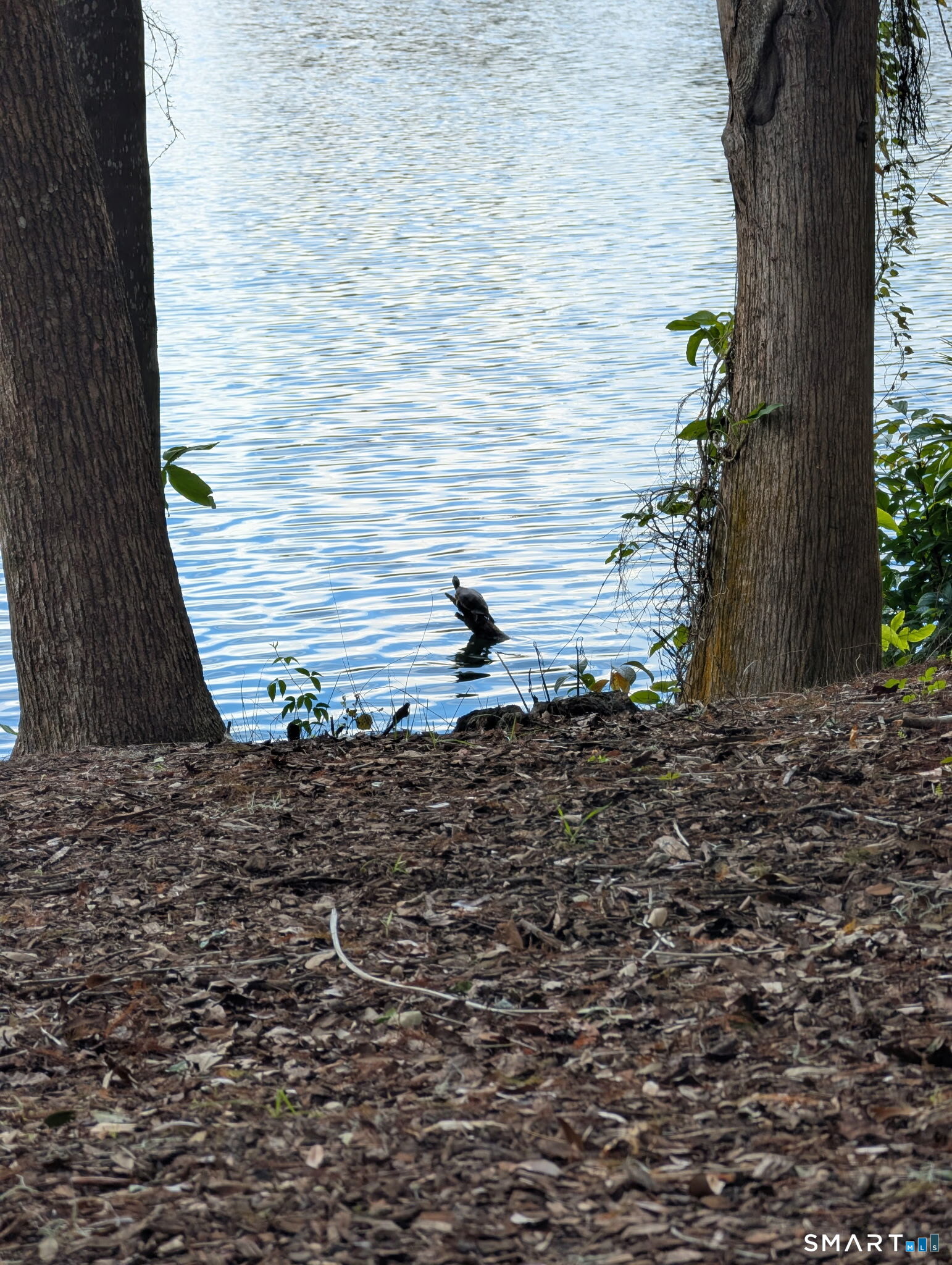 241 South Water Street East Windsor CT 06088