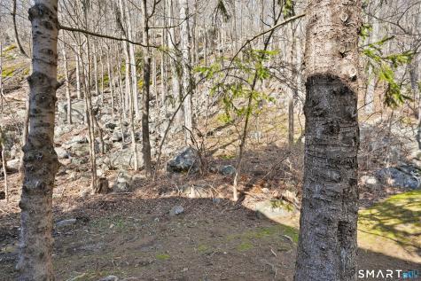 629 Danbury Road Ridgefield CT 06877