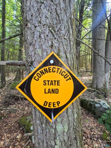 1229 Winsted Road Torrington CT 06790