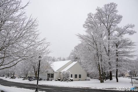 Oxford CT 06478