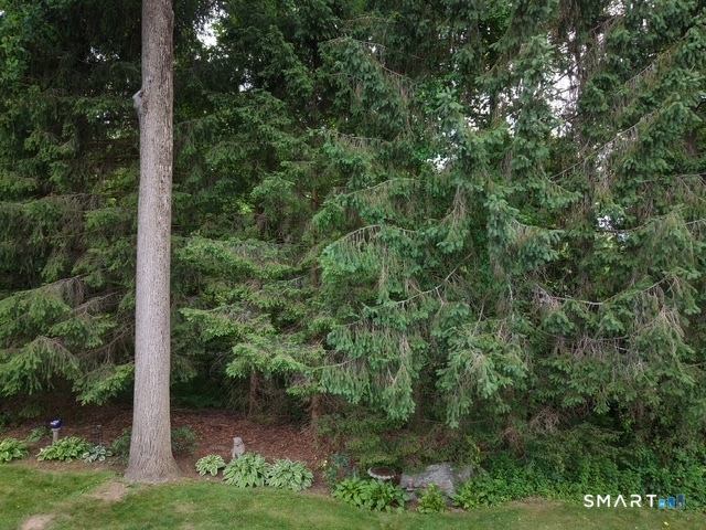 11 Behrens Terrace Monroe CT 06468