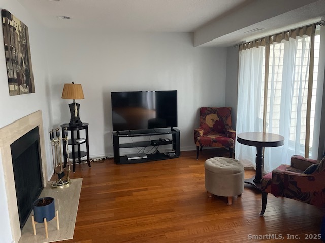 New Haven CT 06515