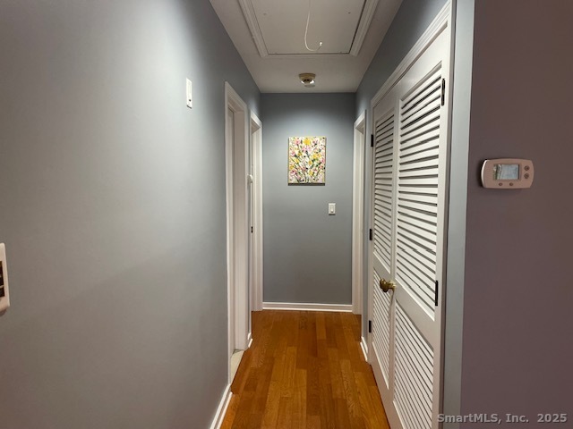 New Haven CT 06515