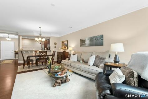 623 Brookside Court Newtown CT 06470
