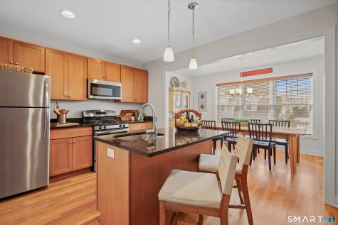 205 Copper Square Drive Bethel CT 06801