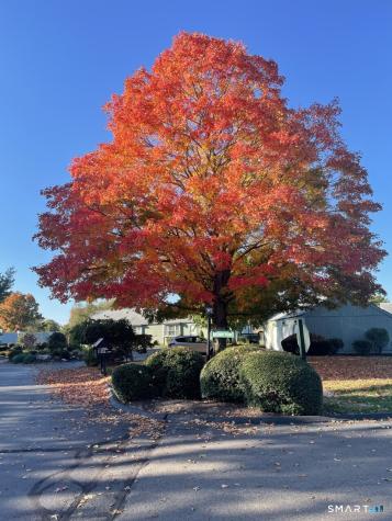 22 Thelbridge Street Madison CT 06443
