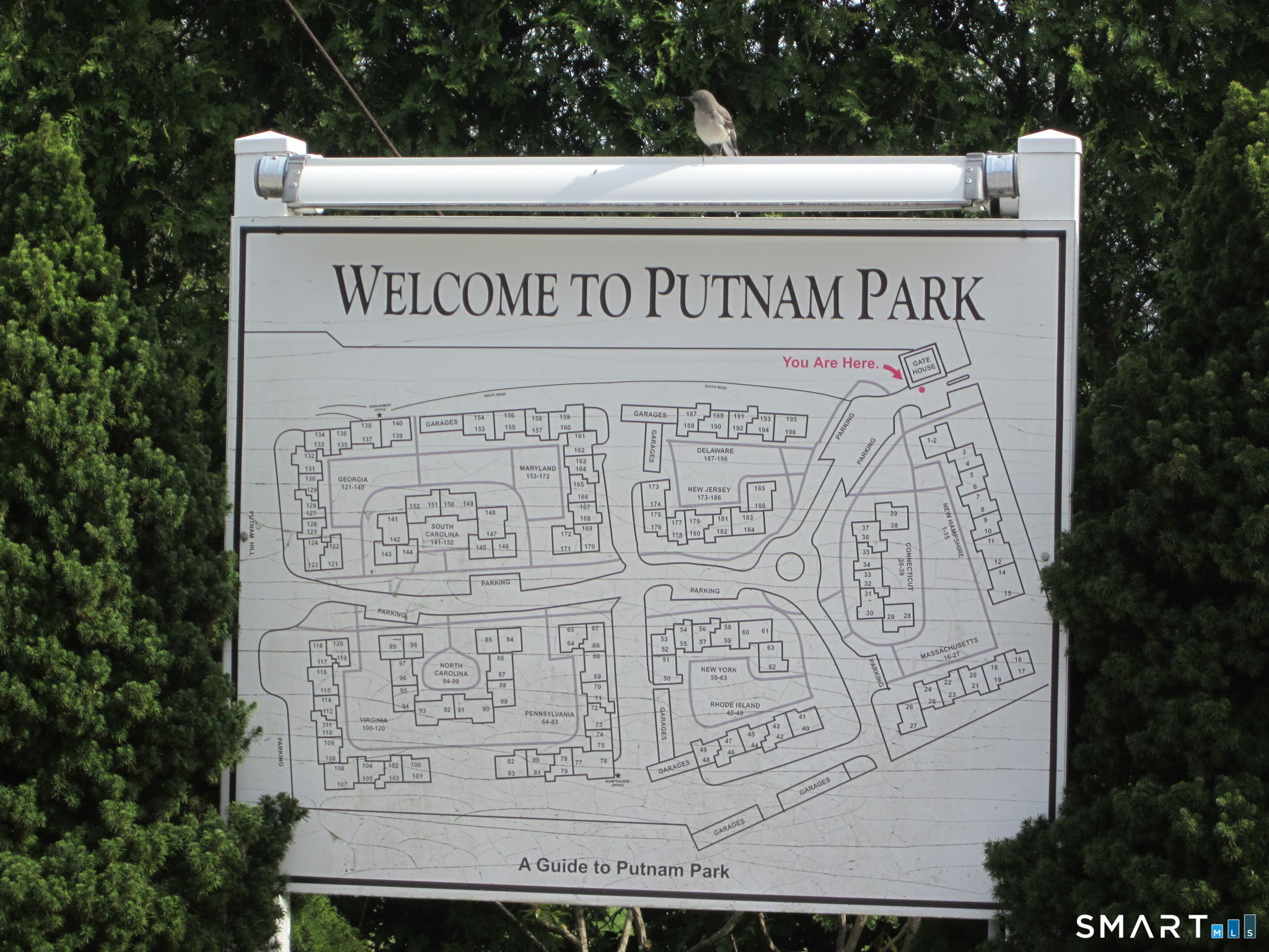 61 Putnam Park Greenwich CT 06830