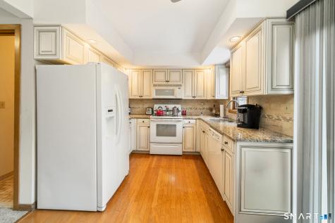 29 Moss Avenue Seymour CT 06483