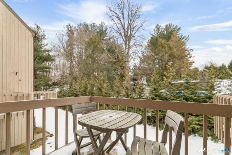29 Moss Avenue Seymour CT 06483
