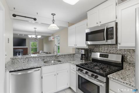 28 Chestnut Court Rocky Hill CT 06067