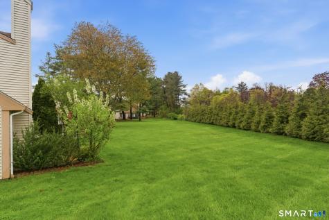 28 Chestnut Court Rocky Hill CT 06067