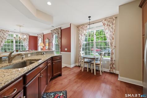 1011 Brookside Court Newtown CT 06470