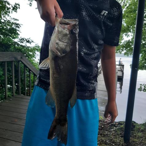 306 Old Colchester Road Salem CT 06420