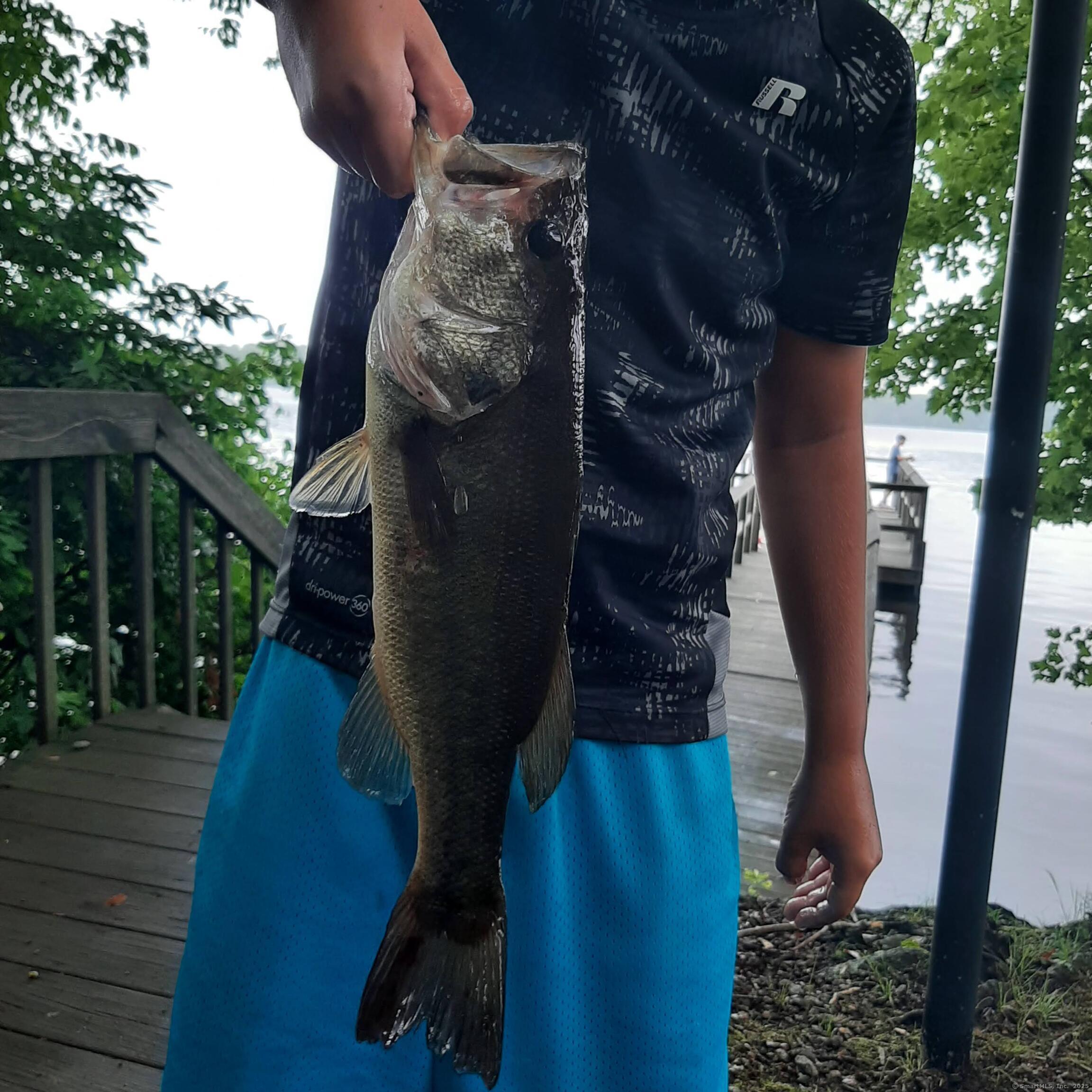 306 Old Colchester Road Salem CT 06420