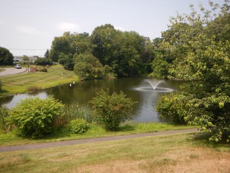 8 Saint George Place Newtown CT 06482