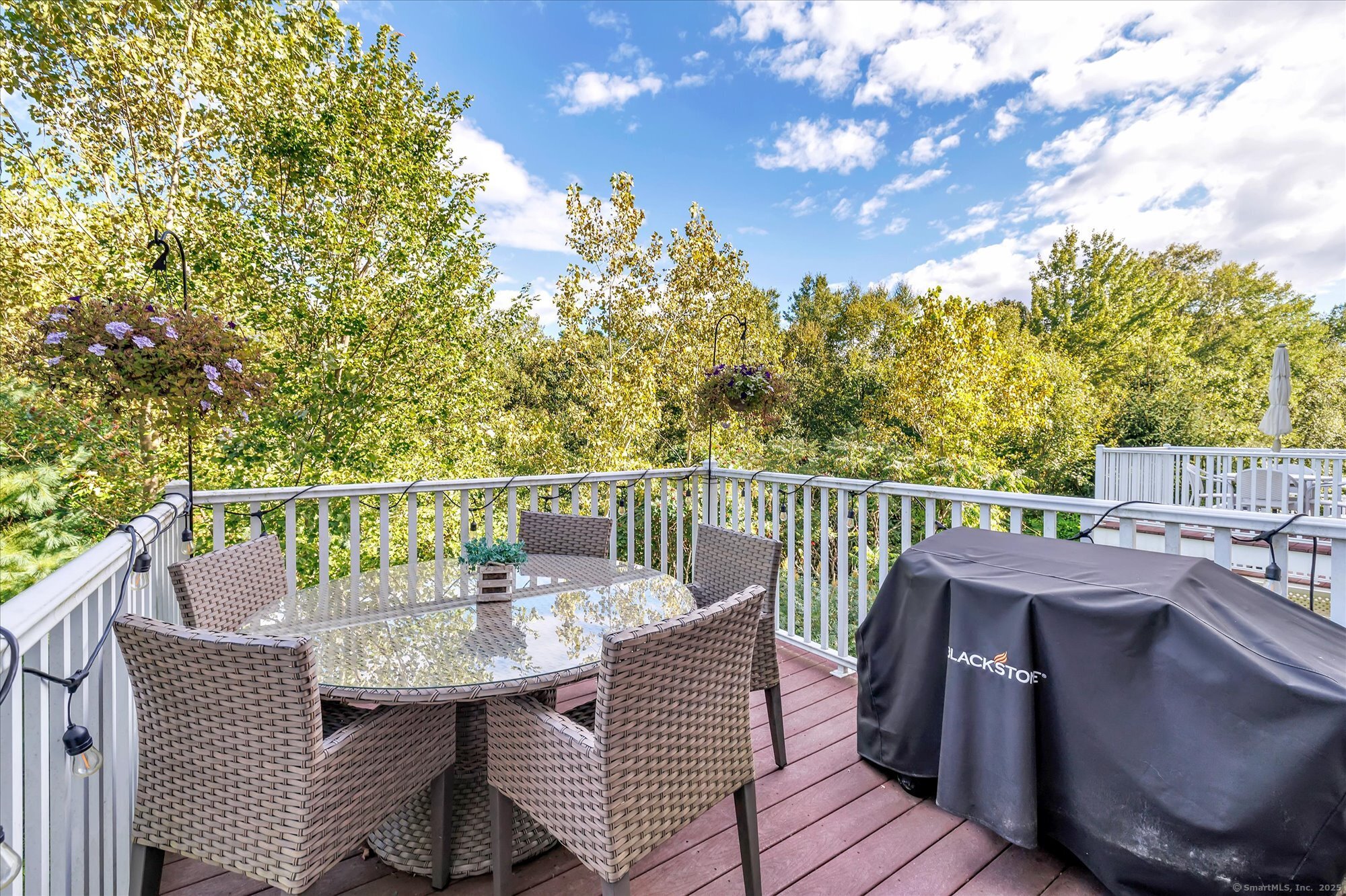 24 Ridgewood Drive Middlebury CT 06762