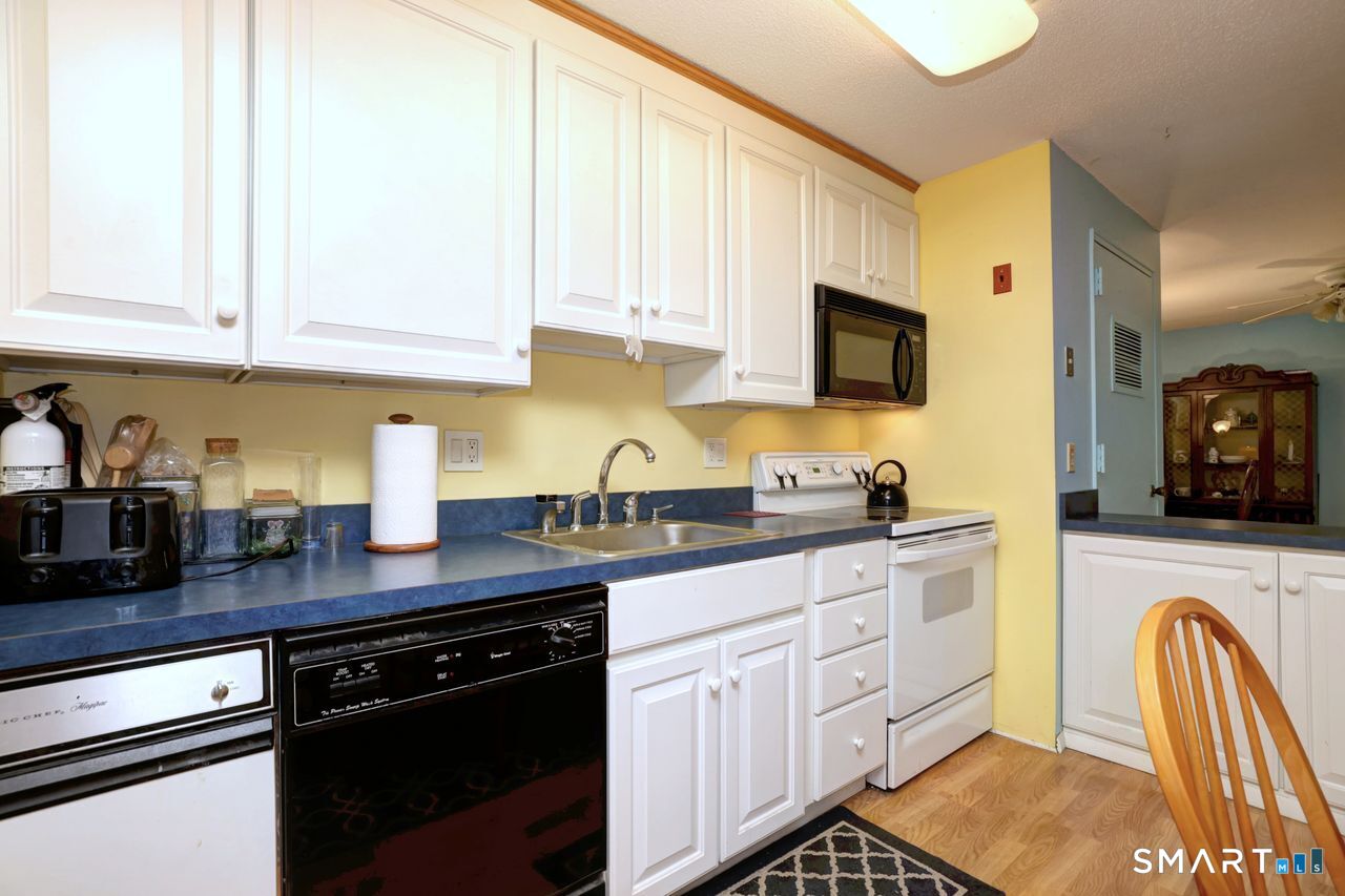 146 Springside Avenue New Haven CT 06515