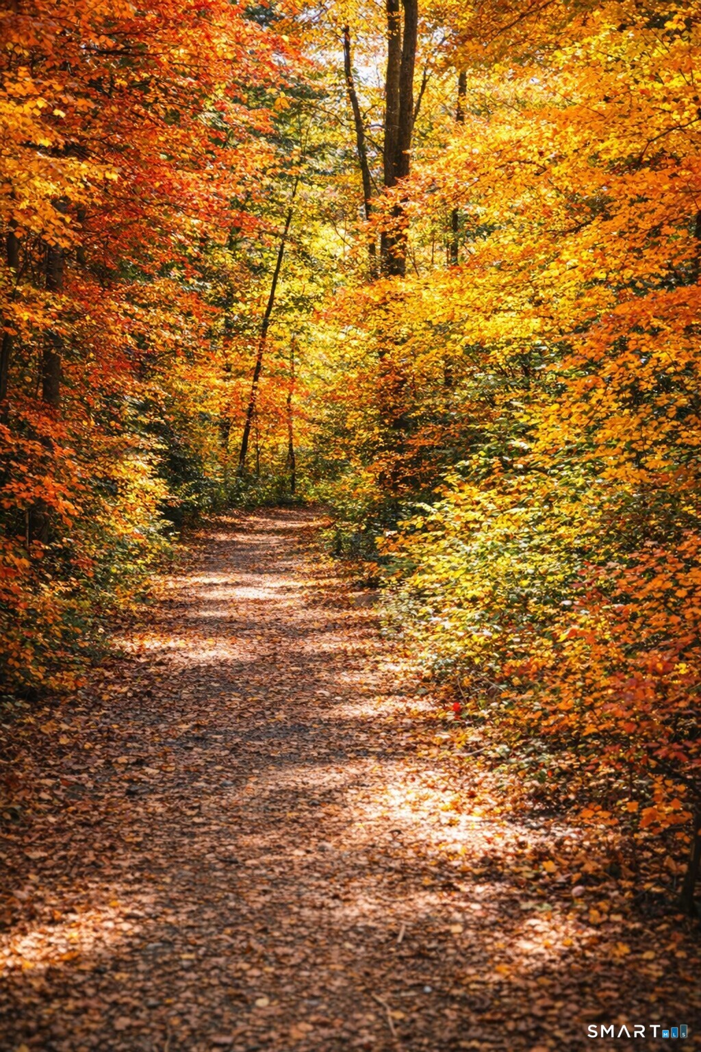 7 Maple Lane Avon CT 06001